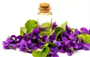 OLEJEK WONNY  FIOŁKOWY - MASAŻ, PERFUMOWANIE, NAWILŻANIE 100 ml